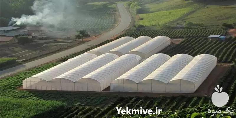 فروش پلاستیک مخصوص گلخانه در تهران در گروه خرید و فروش انواع پوشش ها در یکمیوه -عکس1