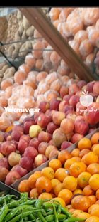 سیب قرمز سوپر 500 کیلو 50 سبد در آبسرد در گروه خرید و فروش سیب در یکمیوه