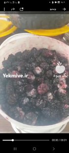 شاتوت سیاه تازه 85 یونجه و شبدر در سنندج در گروه خرید و فروش توت در یکمیوه