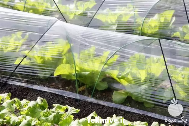 فروش نایلون کشاورزی در اصفهان در گروه خرید و فروش انواع پوشش ها در یکمیوه -عکس1