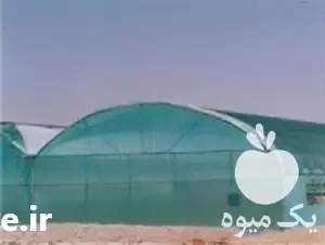 قیمت خرید نایلون عریض و گلخانه در اصفهان در گروه خرید و فروش بسته بندی نایلونی در یکمیوه -عکس1