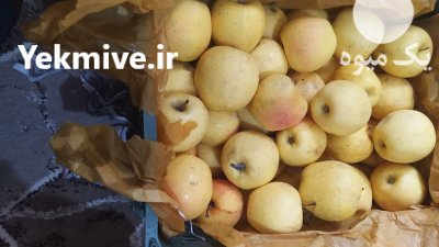 حدود 3000 کیلو سیب زرد و قرمز مراغه در آذربایجان شرقی در گروه خرید و فروش سیب در یکمیوه -عکس3