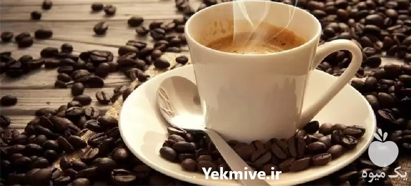 فروش قارچ گانودرما در تبریز در گروه خرید و فروش قارچ در یکمیوه -عکس1