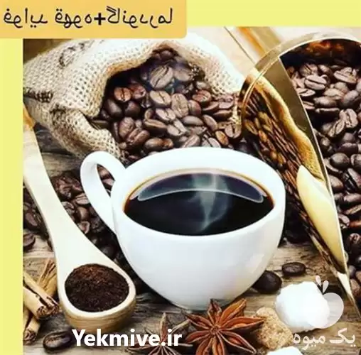 فروش قارچ گانودرما سوپریم در گروه خرید و فروش قارچ در یکمیوه -عکس1