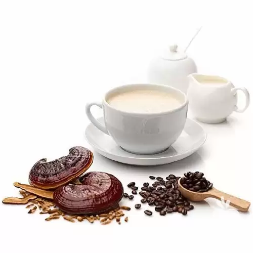 قیمت خرید قارچ گانودرما سوپریم در شیراز در گروه خرید و فروش قارچ در یکمیوه -عکس1