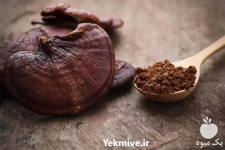 خرید و فروش قارچ گانودرما در اصفهان در گروه خرید و فروش قارچ در یکمیوه -عکس1