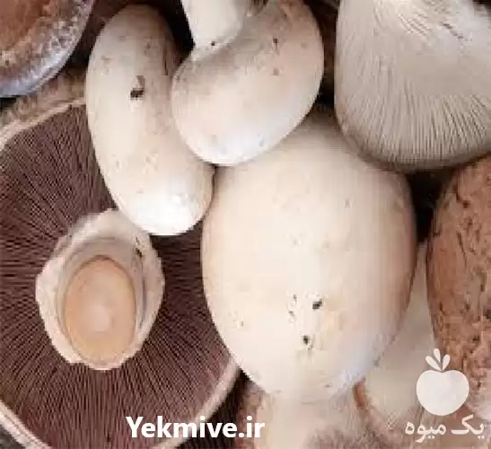 قیمت خرید قارچ اسلایس قارچ فله در تهران در گروه خرید و فروش قارچ در یکمیوه -عکس1