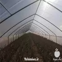 قیمت خرید پلاستیک گلخانه عرض متر در مشهد در گروه خرید و فروش انواع پوشش ها در یکمیوه