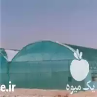 قیمت خرید نایلون عریض و گلخانه در اصفهان در گروه خرید و فروش بسته بندی نایلونی در یکمیوه