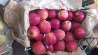 حدود 3000 کیلو سیب زرد و قرمز مراغه در آذربایجان شرقی در گروه خرید و فروش سیب در یکمیوه