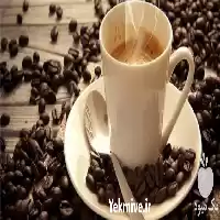 فروش قارچ گانودرما در تبریز در گروه خرید و فروش قارچ در یکمیوه