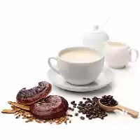 قیمت خرید قارچ گانودرما سوپریم در شیراز در گروه خرید و فروش قارچ در یکمیوه