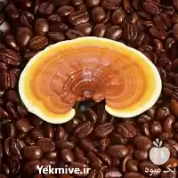 نمایندگی فروش قارچ گانودرما لوسیدوم قهوه در گروه خرید و فروش قارچ در یکمیوه