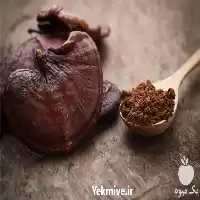 خرید و فروش قارچ گانودرما در اصفهان در گروه خرید و فروش قارچ در یکمیوه