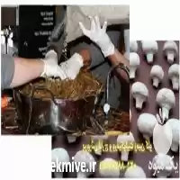فروش پرورش قارچ و ورمیکولیت در گروه خرید و فروش انواع کود کشاورزی در یکمیوه