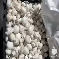 فروش روزانه قارچ فله درجه 1 در گروه خرید و فروش قارچ در یکمیوه