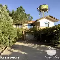 مجتمع کشت و صنعت پرورش قارچ در گروه خرید و فروش قارچ در یکمیوه