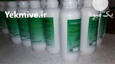 فروش سم علف کش Lentagran سم در همدان در گروه خرید و فروش انواع سم در یکمیوه -عکس2
