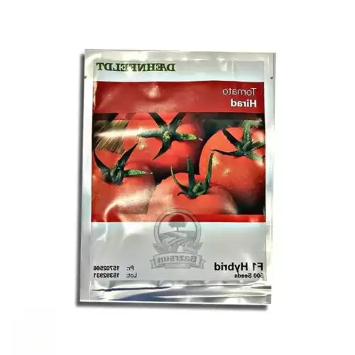 قیمت خرید بذر گوجه هیراد در اصفهان در گروه خرید و فروش بذر گوجه در یکمیوه -عکس1