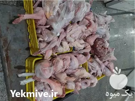 قیمت خرید گوشت غاز محلی در بهشهر در گروه مرغ و خروس و بوقلمون و اردک قو قاز در یکمیوه -عکس1