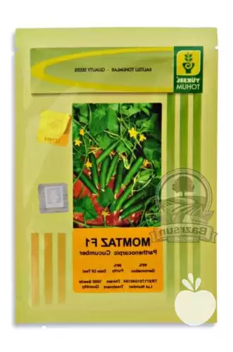 فروش بذر خیار ممتاز در اهواز در گروه خرید و فروش بذر خیار در یکمیوه -عکس1