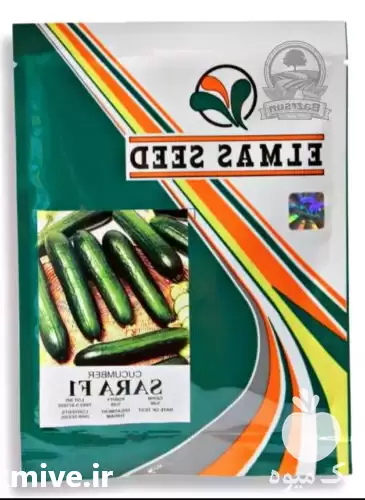 فروش بذر خیار سارا الماس سید در تهران در گروه خرید و فروش بذر خیار در یکمیوه -عکس1