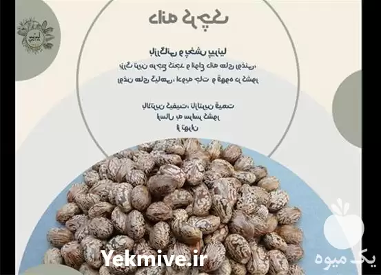 قیمت خرید دانه کرچک در تهران در گروه خرید و فروش دانه های روغنی در یکمیوه -عکس1