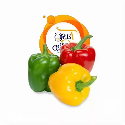 قیمت خرید تامین فلفل دلمه ای در گروه خرید و فروش فلفل در یکمیوه -عکس1