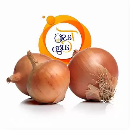 قیمت خرید تامین پیاز سفید در گروه خرید و فروش پیاز در یکمیوه -عکس1