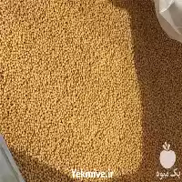 فروش و تامین دانه خردل در تهران در گروه خرید و فروش دانه های روغنی در یکمیوه