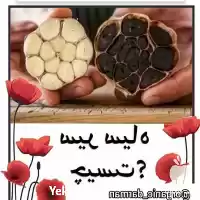 نمایندگی فروش سیر سیاه در هرمز در گروه خرید و فروش سیر در یکمیوه