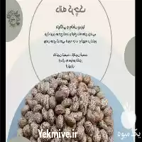 قیمت خرید دانه کرچک در تهران در گروه خرید و فروش دانه های روغنی در یکمیوه