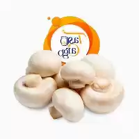 فروش تامین قارچ سفید در اصفهان در گروه خرید و فروش قارچ در یکمیوه