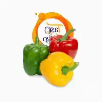 قیمت خرید تامین فلفل دلمه ای در گروه خرید و فروش فلفل در یکمیوه