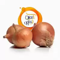 قیمت خرید تامین پیاز سفید در گروه خرید و فروش پیاز در یکمیوه