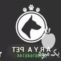 فروش سگ روتوایلر در تهران در گروه سگ و گربه در یکمیوه