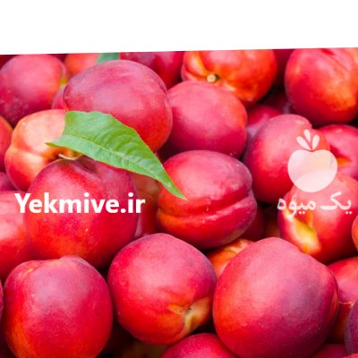 فروش شلیل منطقه مشگین شهر پارس در گروه خرید و فروش شلیل در یکمیوه -عکس1