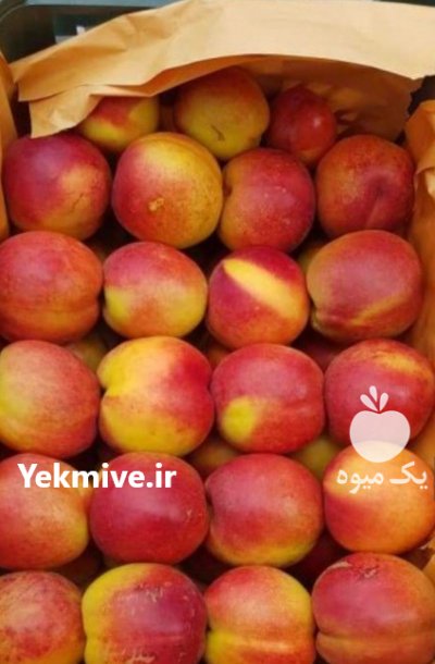 فروش شلیل منطقه مشگین شهر پارس در گروه خرید و فروش شلیل در یکمیوه -عکس2