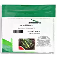 قیمت خرید بذر هندوانه بی سمینیس در مشهد در گروه خرید و فروش بذر هندوانه در یکمیوه