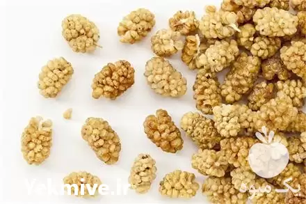 قیمت خرید توت خشک یزد در گروه خرید و فروش توت در یکمیوه -عکس1