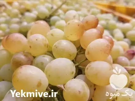 قیمت خرید کشمش آفتابی بوانات فارس در گروه خرید و فروش آجیل در یکمیوه -عکس1