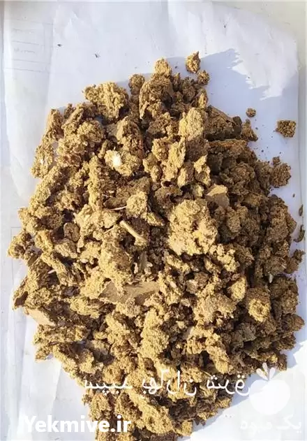 قیمت خرید کنجاله پنبه دانه در مشهد در گروه خرید و فروش گیاهان صنعتی در یکمیوه -عکس1