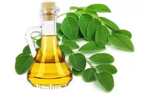 قیمت خرید ویژه روغن بادام تلخ در تهران در گروه خرید و فروش انواع روغن در یکمیوه -عکس1