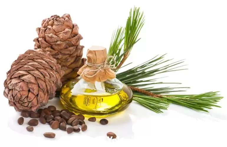 قیمت خرید قیمت روغن دانه کاج در تبریز در گروه خرید و فروش انواع روغن در یکمیوه -عکس1