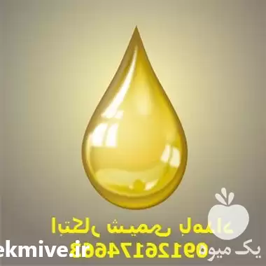 فروش روغن مرغی و گیاهی تصفیه در تهران در گروه خرید و فروش انواع روغن در یکمیوه -عکس1