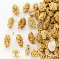 قیمت خرید توت خشک یزد در گروه خرید و فروش توت در یکمیوه