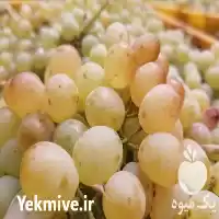 قیمت خرید کشمش آفتابی بوانات فارس در گروه خرید و فروش آجیل در یکمیوه