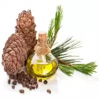 قیمت خرید قیمت روغن دانه کاج در تبریز در گروه خرید و فروش انواع روغن در یکمیوه