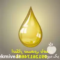 فروش روغن مرغی و گیاهی تصفیه در تهران در گروه خرید و فروش انواع روغن در یکمیوه