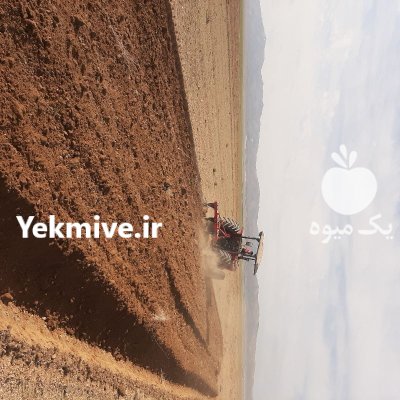 خدمات تراکتور در زنجان در گروه خدمات شخم زنی در یکمیوه -عکس2